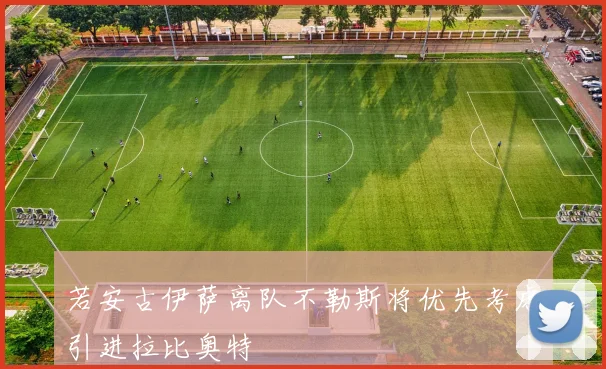 若安古伊萨离队不勒斯将优先考虑引进拉比奥特